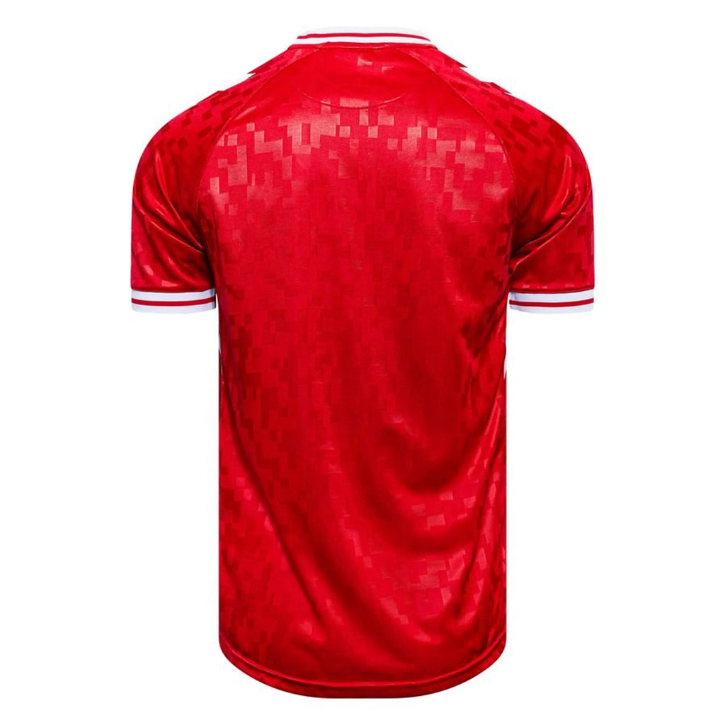 Denmark National Team Jersey