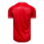 Denmark National Team Jersey