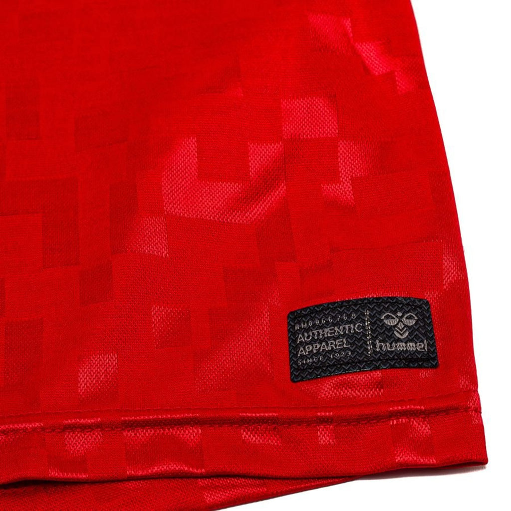 Denmark National Team Jersey