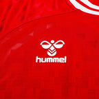 Denmark National Team Jersey