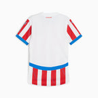Paraguay National Team Jersey