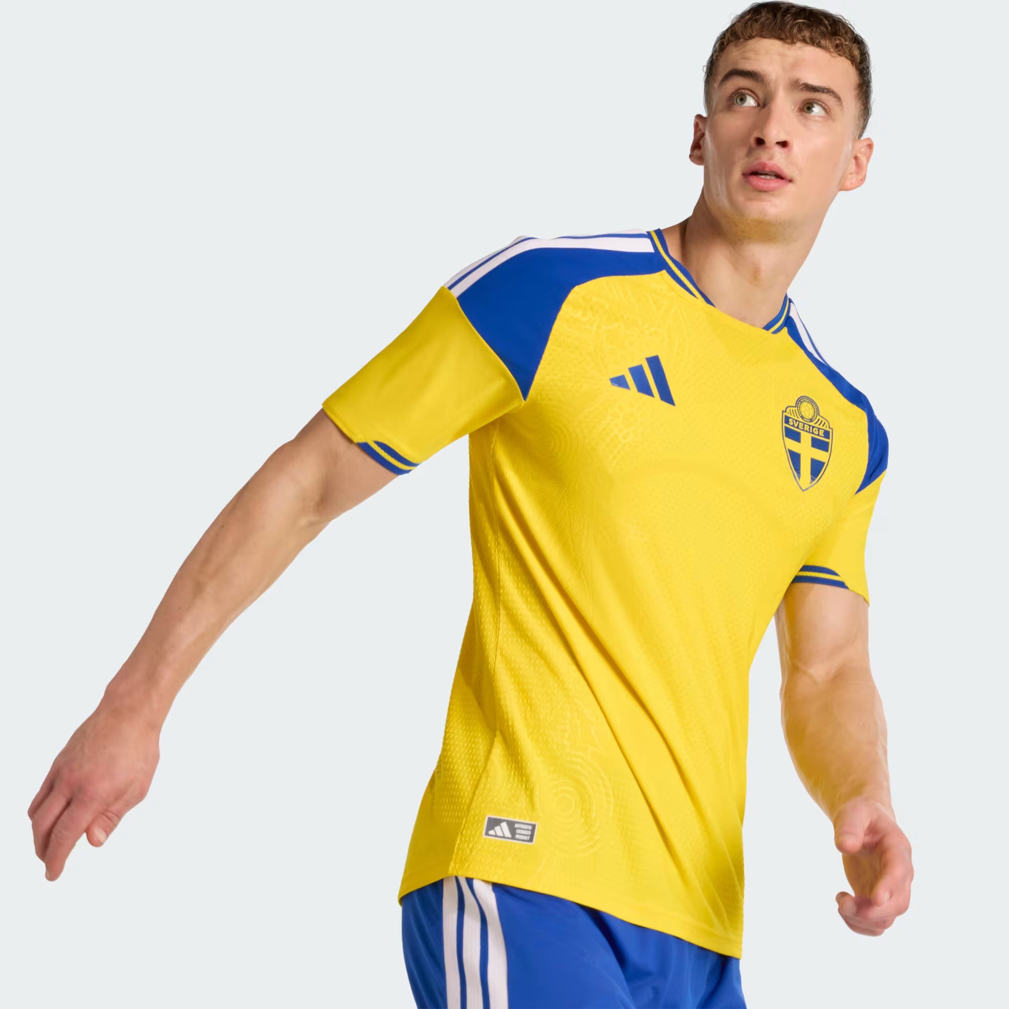 Sweden National Team Jersey